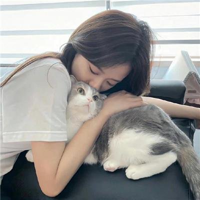 寻找苏珊